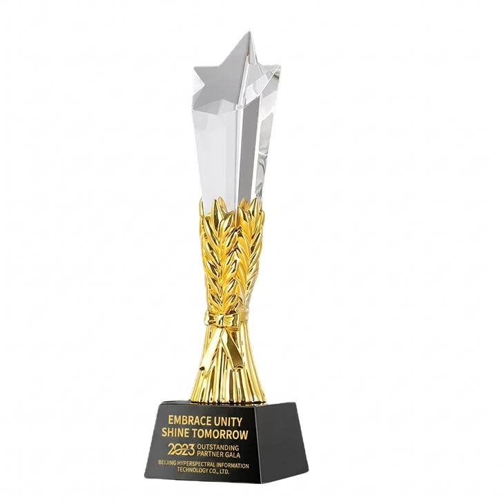 Premium Custom Engraved Crystal Star Trophy