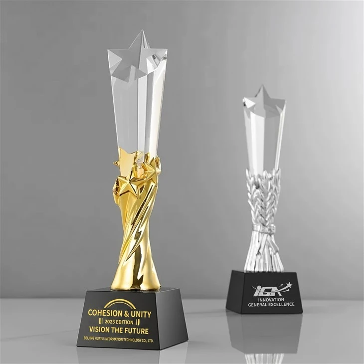 Premium Custom Engraved Crystal Star Trophy