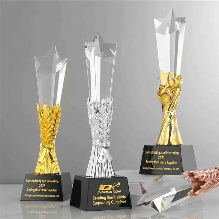 Premium Custom Engraved Crystal Star Trophy